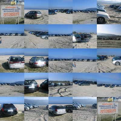 collage4.jpg