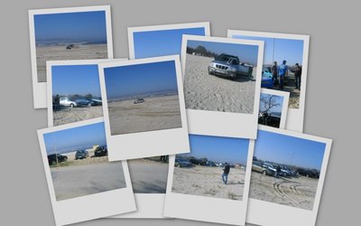collage2.jpg