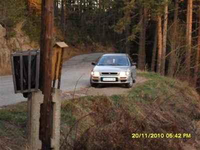 SDC11282 (Medium).JPG