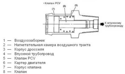 PCV.JPG