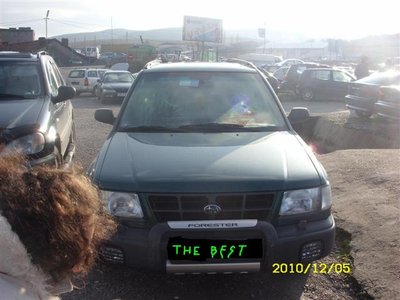 fori11 (Small).JPG