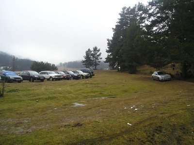 P1010003.JPG