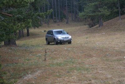 IMG_2016 (Medium).JPG