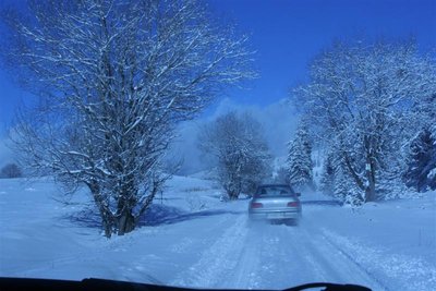 IMG_2090 (Medium).JPG