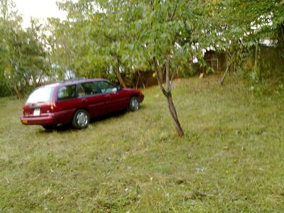 18092010.jpg