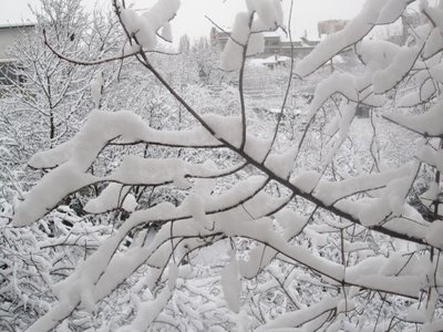 snow.jpg