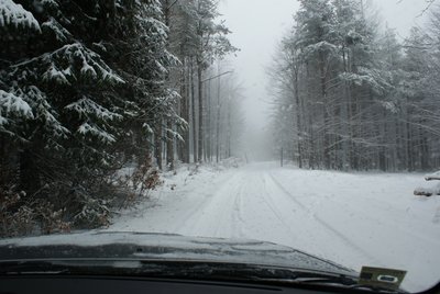 DSC01779-1.JPG