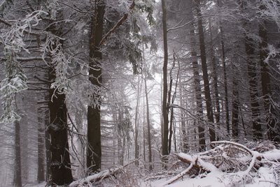 DSC01807-1.JPG