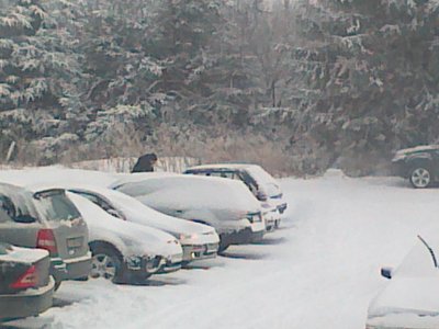 20022011107.jpg