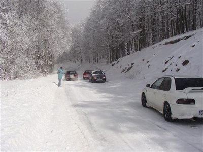 DSC03092 (Large) (Small).JPG