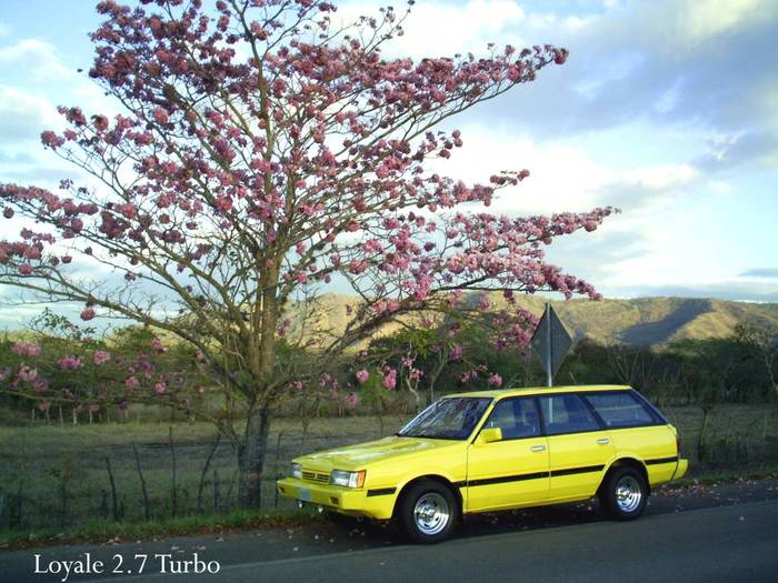 Beast_on_the_Road_017-700.jpg