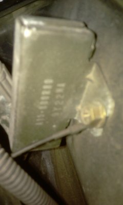IMAG0486.jpg