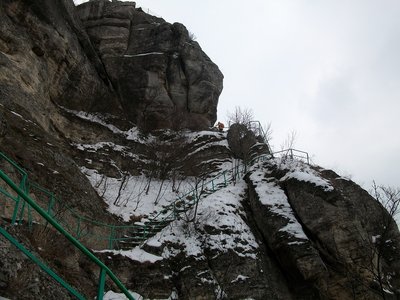 ALIM1013a.jpg