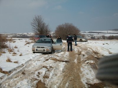 ALIM0997a.jpg