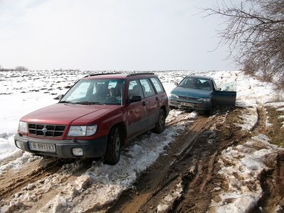 ALIM0993a.jpg