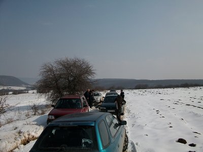 ALIM0991a.jpg