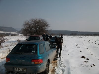 ALIM0990a.jpg