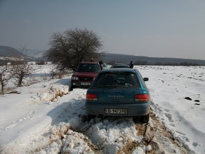 ALIM0989a.jpg