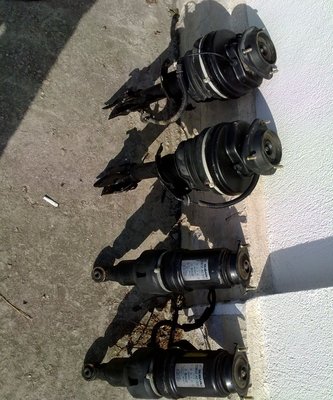 11032011295.jpg
