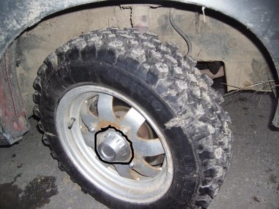 PICT0011.JPG
