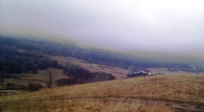 IMAG0587-1.jpg