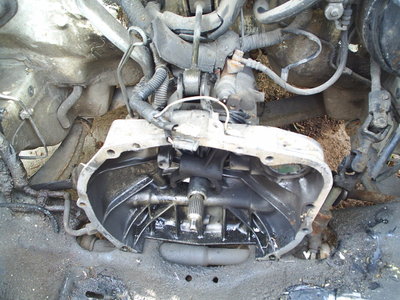 S3010433.JPG