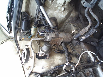 S3010434.JPG