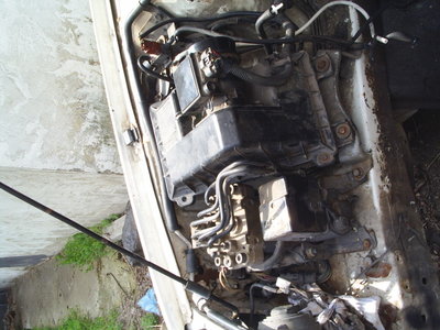 S3010435.JPG