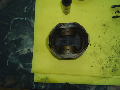 S3010444.JPG