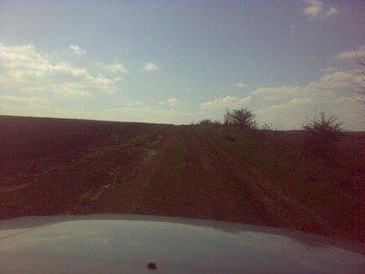 8resized_17042011062.jpg