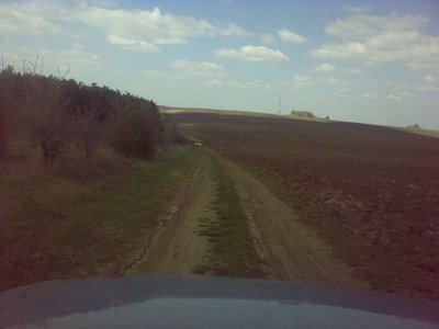 10resized_17042011064.jpg