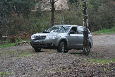 IMG_2447 (Small).JPG
