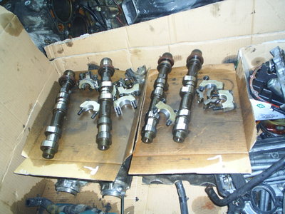 S3010462.JPG
