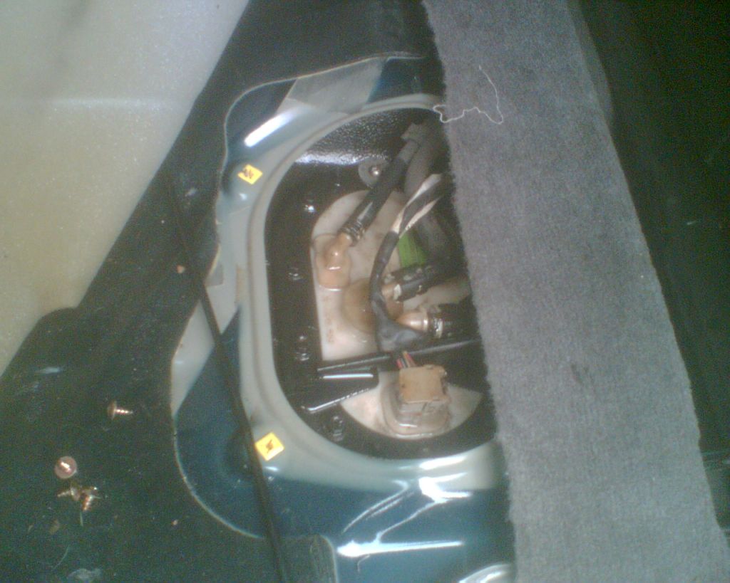 IMG109.2.jpg