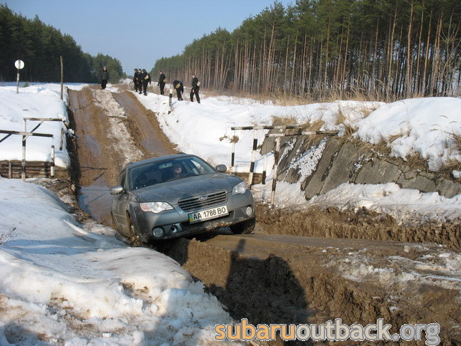 12720269.jpg