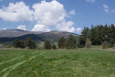 DSC00128-1.JPG