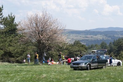 DSC00180-11.JPG