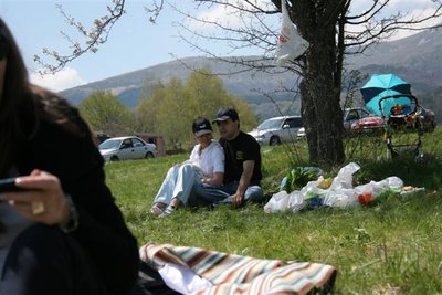 IMG_2772 (Small).JPG