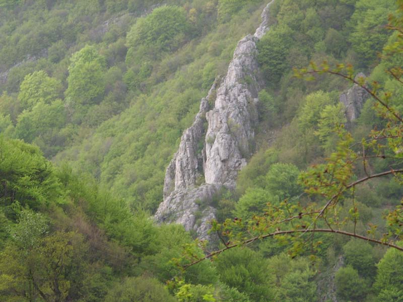 IMG_3711.JPG