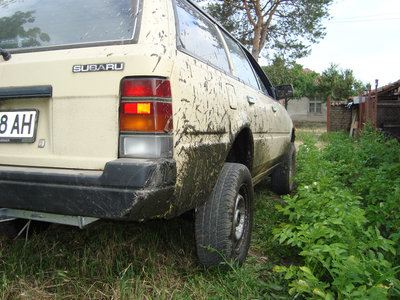 DSC04913.jpg