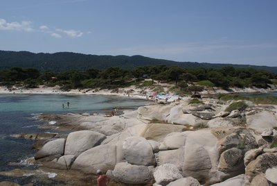 DSC00451-1.JPG