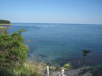 IMG_2748.jpg
