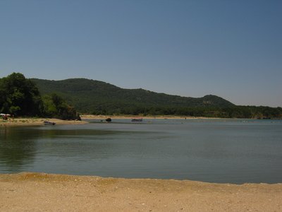 IMG_2833.jpg