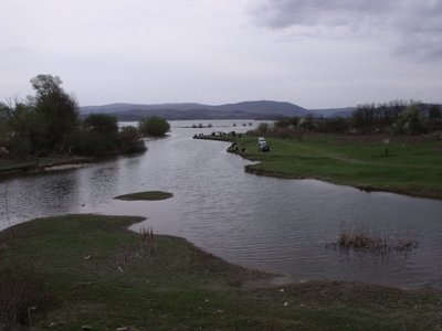 new-2.jpg