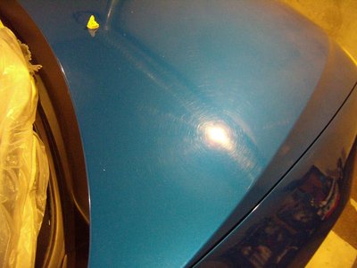 P7270017 (Copy).JPG