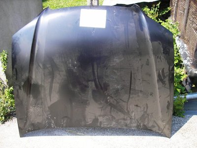 P8033029 - Copy.JPG