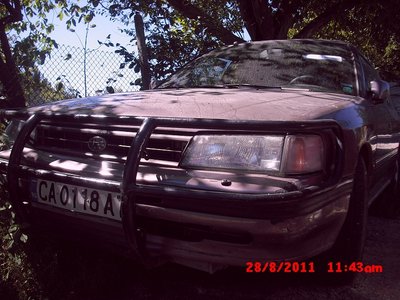 Picture 3707.jpg