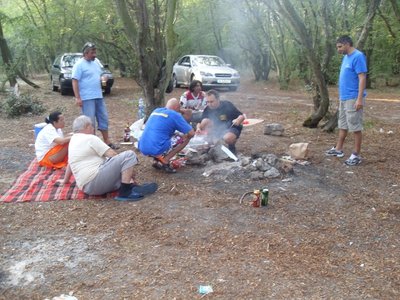 SDC11393.JPG