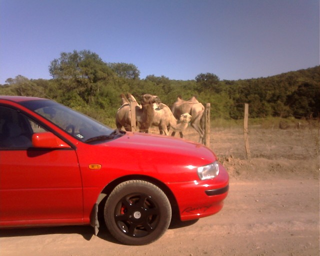 IMG0849A.jpg