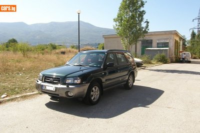 3268441o.jpg